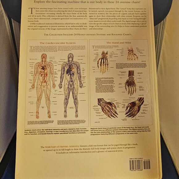 Wallchart of Human Anatomy: 3 D Full-Body Images, Detailed System Charts - Picture 6 of 6